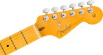 Fender American Professional Stratocaster MN BLK
