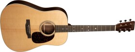 Martin D-16E