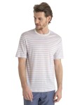 ICEBREAKER Mens Merino Drayden SS Tee Stripe, Ecru Heather/Purple Gaze velikost: M