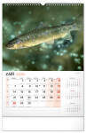 Nástěnný kalendář 2026 NOTIQUE - Rybářský, 33 x 46 cm