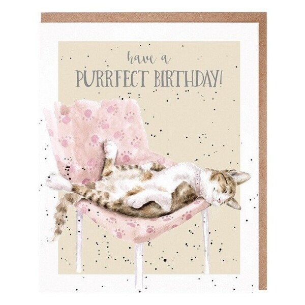 Narozeninové přání Wrendale Designs Tabby Birthday - Kočka