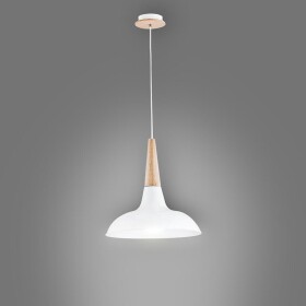 Závěsné svítidlo Doro 60005 LW1