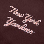 47 Brand Pánská mikina New York Yankees MLB Backer Burnside Hoodie Cacao Velikost: M