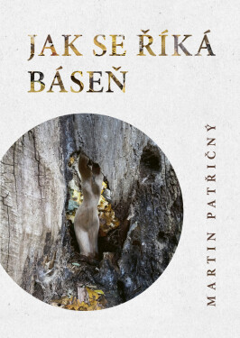 Jak se říká báseň - Martin Patřičný