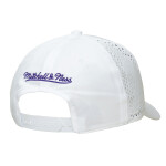 Mitchell & Ness Pánská kšiltovka Los Angeles Lakers NBA Perfect Logo Pro Snapback