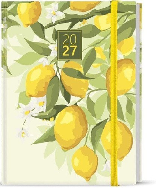 Denní diář Adam Lamino B6 Citron