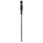 Bosch Accessories 2608596343 šalovací vrták 10 mm Celková délka 600 mm válcová stopka 1 ks