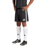 Šortky adidas Tastigo 25 M JN7155 S