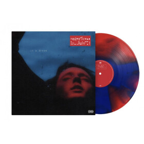 LP Troye Sivan: In A Dream (5th Anniversary) - Troye Sivan