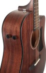 Ibanez AAD190CE Natural