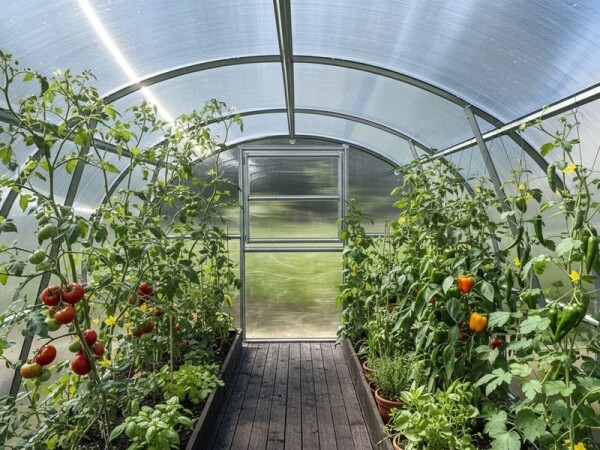 Polykarbonátový skleník – KYKLOP2, PC 4 mm, 3×8 m