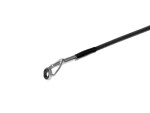 Delphin Prut RaveX 2,1m 30g,Delphin Prut RaveX 2,1m 30g