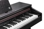 Kurzweil CUP E1 SR