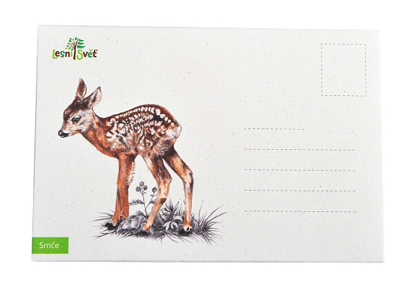Puzzle do kapsy - Srnče