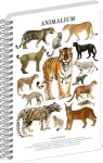 NOTIQUE Animalium – Kočkovité šelmy / Spirálový blok / A4 / čtverečkovaný
