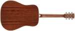 Cort Earth NS