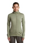 ICEBREAKER Wmns Merino 260 Quantum IV LS Zip Hood, Lichen (vzorek) velikost: S