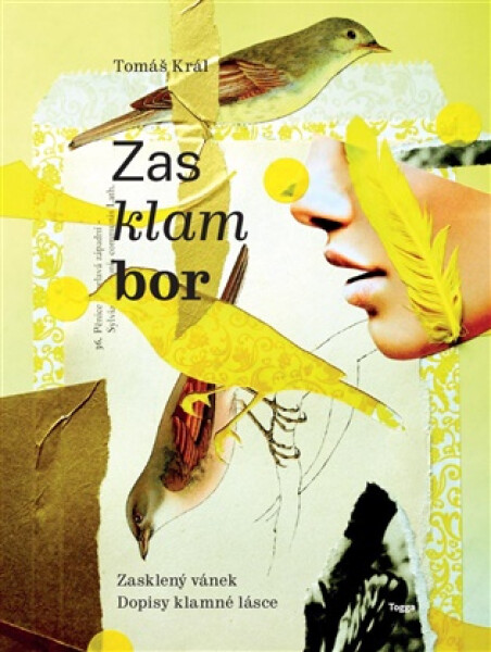 Zasklambor - Tomáš Král