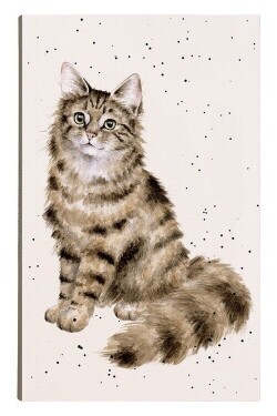 Poznámkový blok Feline Fabulous, 140l., linkovaný - Kočka