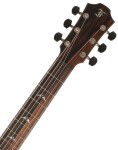 Furch Rainbow D-CW