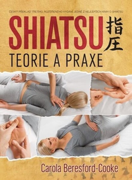 Shiatsu teorie praxe