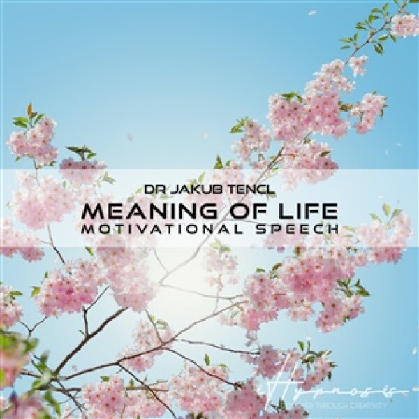 Meaning of Life