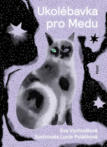 Ukolébavka pro Medu - Eva Vychodilová