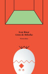 Cesta do Meksika - Ivan Binar