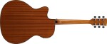 Ibanez PC34CE NT
