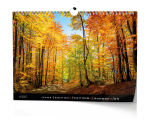 Nástěnný kalendář 2027 Baloušek Les