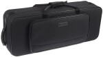 Eastman ETS223V