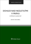 Dohled nad nezletilými v právu - David Holubec