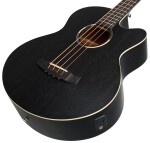 Tanglewood TWBB AB
