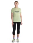 ICEBREAKER Wmns Merino 150 Tech Lite III SS Tee Contour Waves, Glazen (vzorek) velikost: S