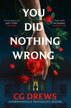 You Did Nothing Wrong - C.G. Drews