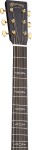 Martin GPCE Inception Maple