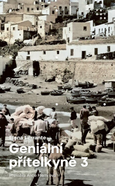 Geniální přítelkyně 3 - Příběh těch, co odcházejí, a těch, kteří zůstanou - Elena Ferrante