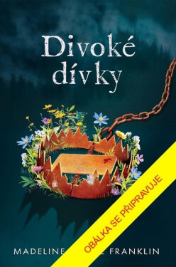 Divoké dívky - Madeline Claire Franklin