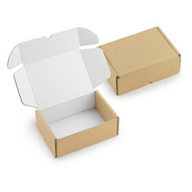 20 x Poštovní krabice Rigibox 215x155x80mm, bílý interiér
