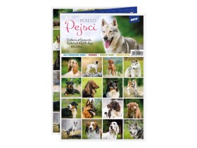 Pexeso pejsci Pexeso pejsci