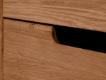 Massivo.cz Vitrína Fabro 2, dub