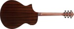 Ibanez AEWC16QA-TLH