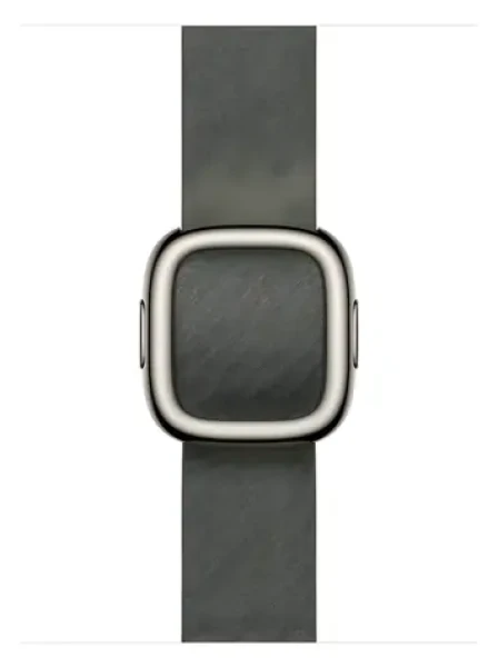Apple Watch Modern Buckle 42mm - vel.L - šalvějově šedá / Řemínek s moderní přezkou / 160–180 mm (MGGC4ZM/A)