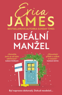 Ideální manžel - Erica James
