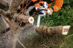 Motorová pila STIHL MS 201 TC-M