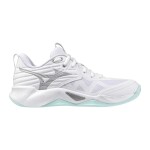 Mizuno Wave Momentum Pro V1GC254045