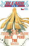 Bleach 36: