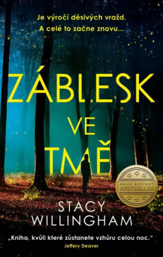 Záblesk ve tmě (poškozená) - Stacy Willingham