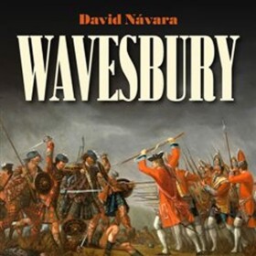 Wavesbury David Návara