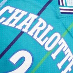 Mitchell & Ness Pánský dres Charlotte Hornets NBA Larry Johnson #2 1992-93 Swingman Velikost: L